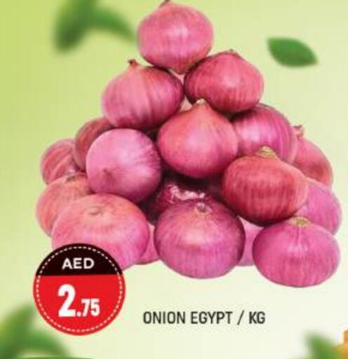  Onion  in Shaklan  in UAE - Dubai