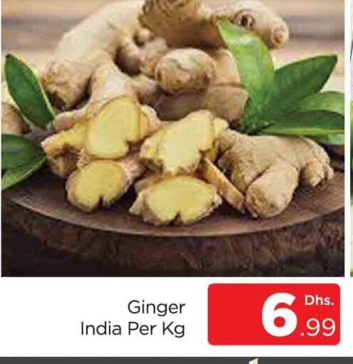  Ginger  in AL MADINA (Dubai) in UAE - Dubai