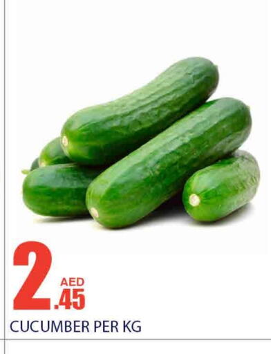  Cucumber  in Bismi Wholesale in UAE - Dubai