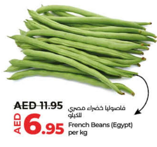  Beans  in Lulu Hypermarket in UAE - Dubai