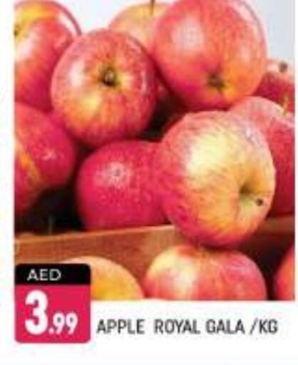  Apples  in Shaklan  in UAE - Dubai