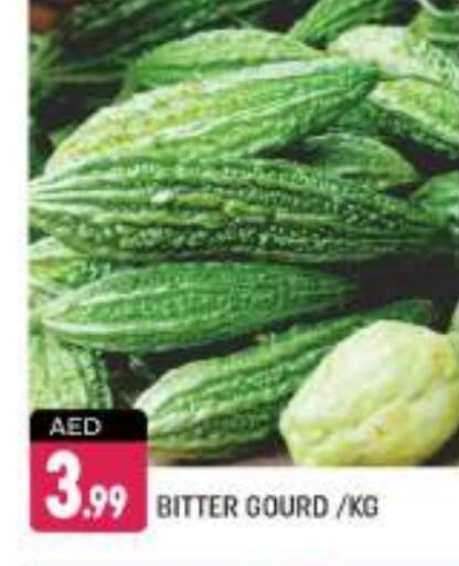  Gourd  in Shaklan  in UAE - Dubai