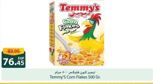 TEMMYS Corn Flakes  in Spinneys  in Egypt - Cairo