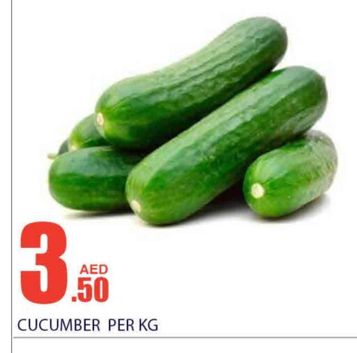  Cucumber  in Bismi Wholesale in UAE - Dubai