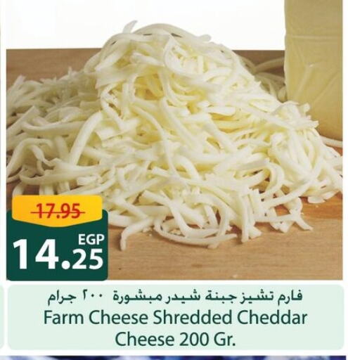  Cheddar Cheese  in Spinneys  in Egypt - Cairo