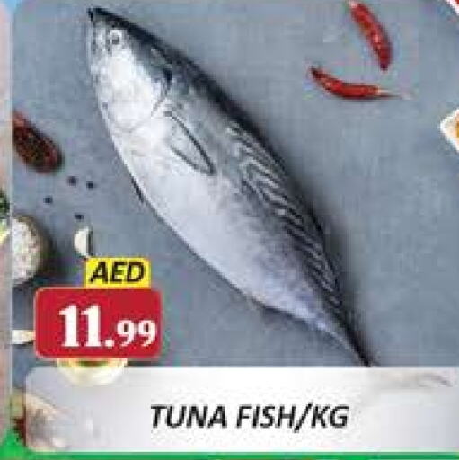  Tuna  in Al Madina  in UAE - Dubai