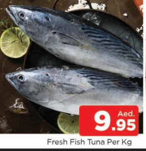  Tuna  in AL MADINA (Dubai) in UAE - Dubai