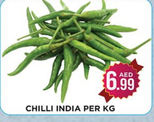  Chilli / Capsicum  in Ain Al Madina Hypermarket in UAE - Sharjah / Ajman