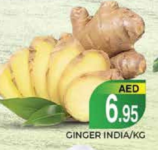  Ginger  in PASONS GROUP in UAE - Dubai