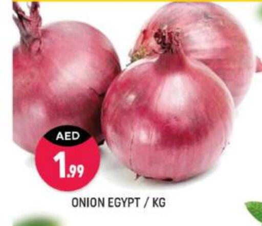  Onion  in Shaklan  in UAE - Dubai