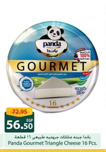 PANDA Triangle Cheese  in Spinneys  in Egypt - Cairo