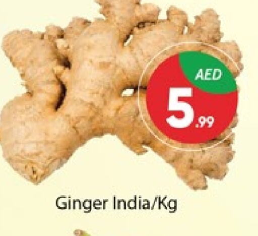  Ginger  in Al Madina  in UAE - Dubai