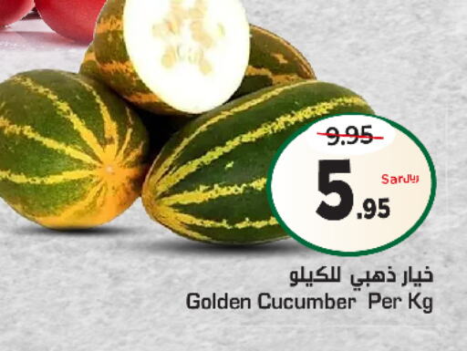  Cucumber  in Nesto in KSA, Saudi Arabia, Saudi - Riyadh