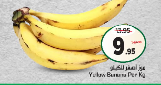  Banana  in Nesto in KSA, Saudi Arabia, Saudi - Riyadh