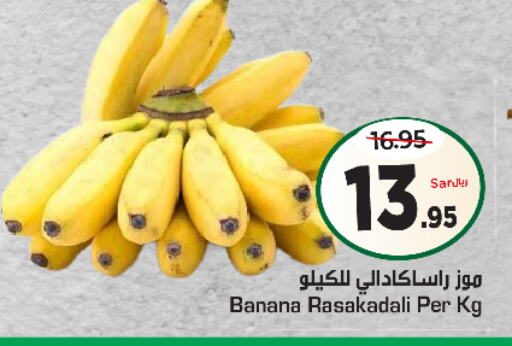  Banana  in Nesto in KSA, Saudi Arabia, Saudi - Riyadh