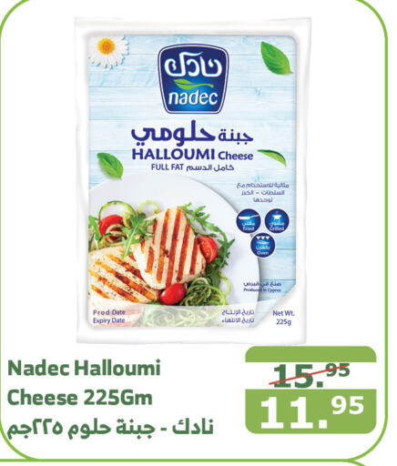 NADEC Halloumi  in Al Raya in KSA, Saudi Arabia, Saudi - Jeddah