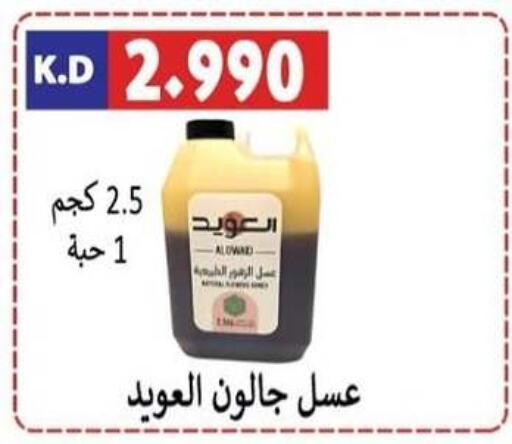  Honey  in Sabah Al-Nasser Cooperative Society in Kuwait - Kuwait City