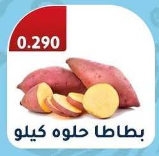  Sweet Potato  in Al Fahaheel Co - Op Society in Kuwait - Kuwait City