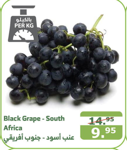  Grapes  in Al Raya in KSA, Saudi Arabia, Saudi - Jeddah