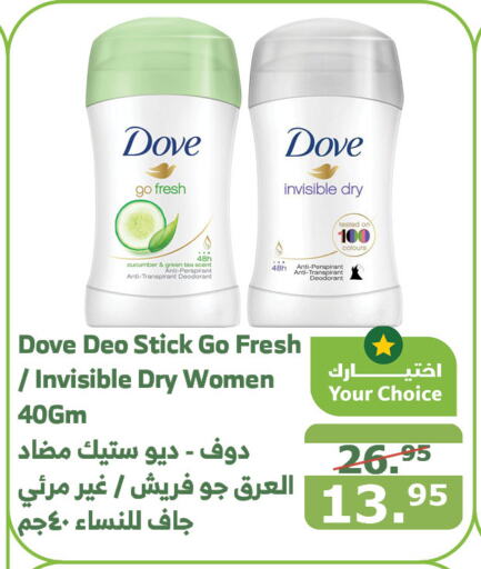 DOVE   in Al Raya in KSA, Saudi Arabia, Saudi - Mecca