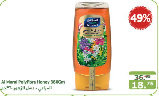 ALMARAI Honey  in Al Raya in KSA, Saudi Arabia, Saudi - Mecca