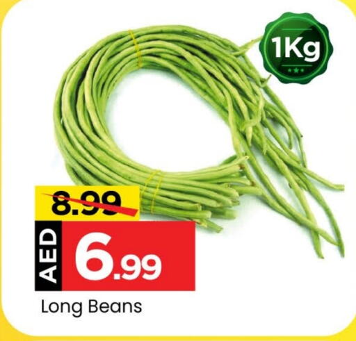  Beans  in Mark & Save Value Retail in UAE - Dubai