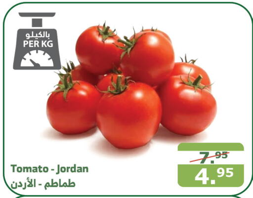  Tomato  in Al Raya in KSA, Saudi Arabia, Saudi - Medina