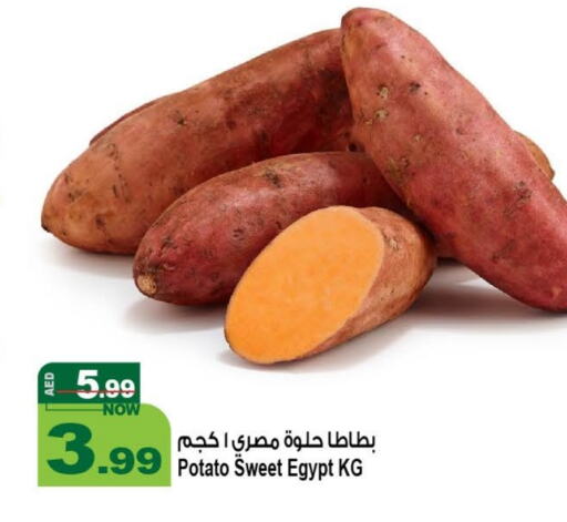  Sweet Potato  in Hashim Hypermarket in UAE - Sharjah / Ajman