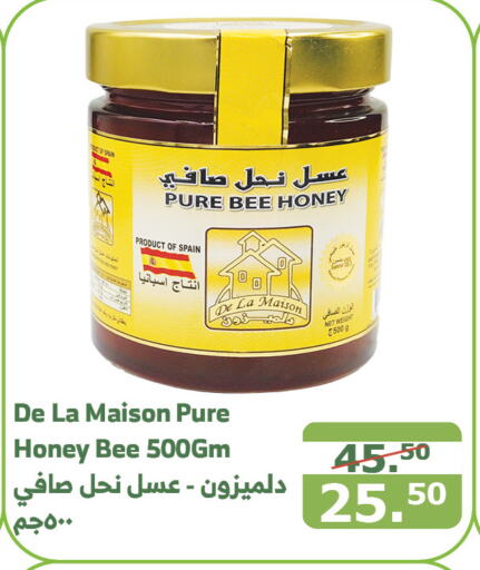  Honey  in Al Raya in KSA, Saudi Arabia, Saudi - Al Qunfudhah