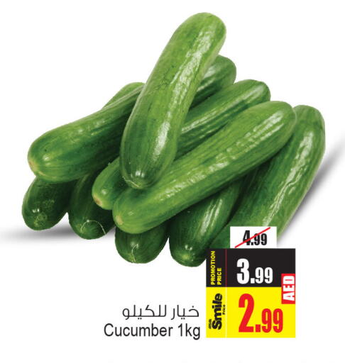  Cucumber  in Ansar Gallery in UAE - Dubai