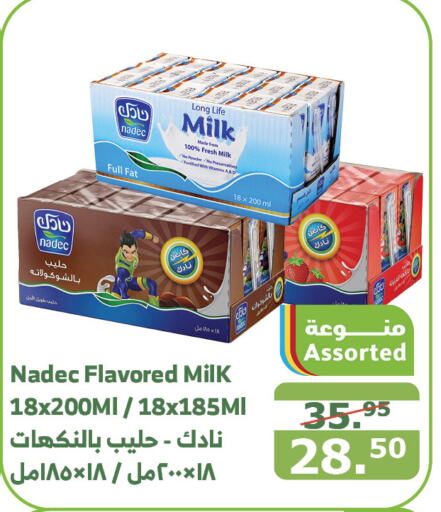 NADEC Flavoured Milk  in Al Raya in KSA, Saudi Arabia, Saudi - Abha