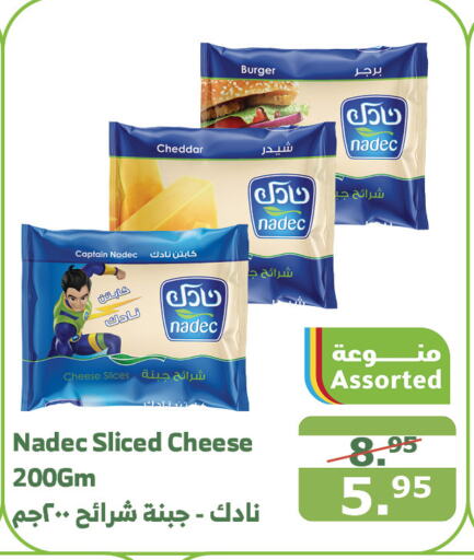 NADEC Slice Cheese  in Al Raya in KSA, Saudi Arabia, Saudi - Najran