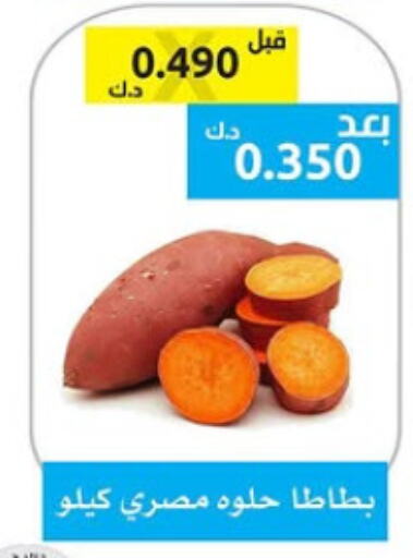  Sweet Potato  in Ministry Of Defense Consumer Association Co-operative Society in Kuwait - Kuwait City