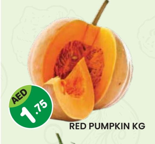 Pumpkin available at سنابل بني ياس in الإمارات العربية المتحدة , الامارات - أم القيوين‎