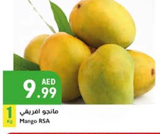 Mango Mangoes available at Istanbul Supermarket in UAE - Al Ain