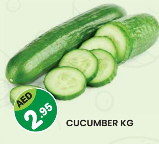 Cucumber