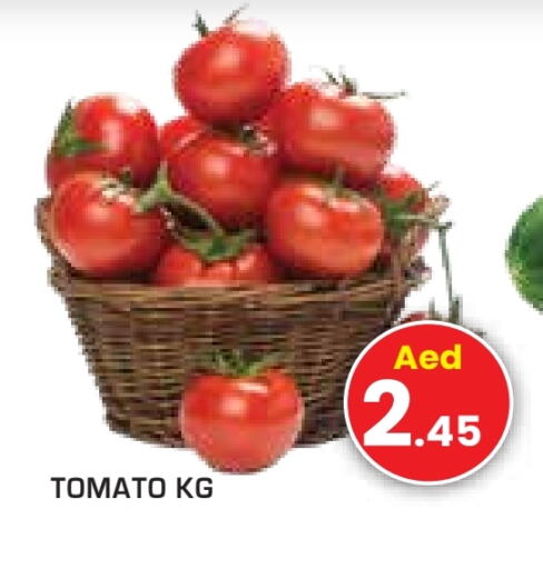 Tomato available at Fresh Spike Supermarket in UAE - Dubai