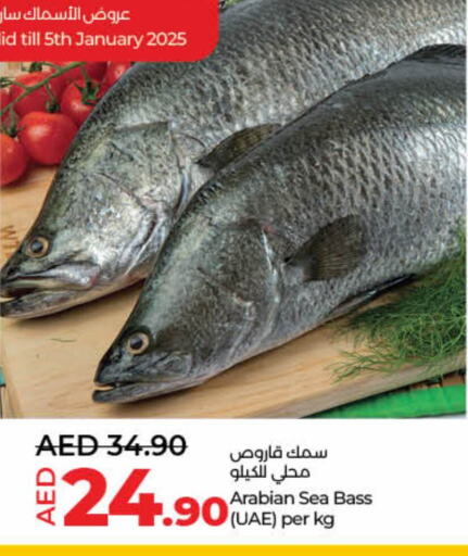 available at Lulu Hypermarket in UAE - Fujairah