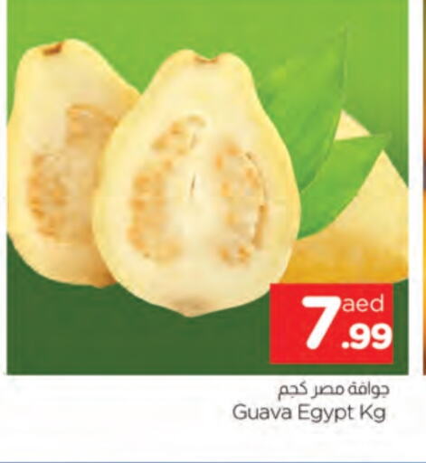 Guava from Egypt available at AL MADINA in UAE - Sharjah / Ajman