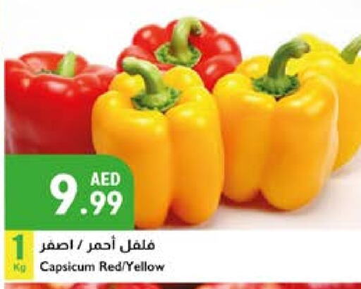 Chilli / Capsicum available at Istanbul Supermarket in UAE - Ras al Khaimah