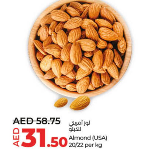 available at لولو هايبرماركت in الإمارات العربية المتحدة , الامارات - ٱلْفُجَيْرَة‎