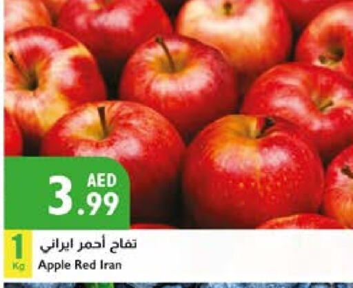 تفاح from Iran available at إسطنبول سوبرماركت in الإمارات العربية المتحدة , الامارات - أبو ظبي