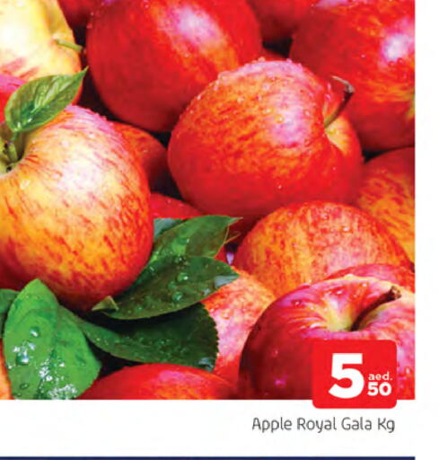 Apples available at AL MADINA in UAE - Sharjah / Ajman