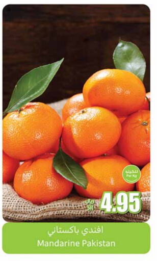 Orange from Pakistan available at Othaim Markets in KSA, Saudi Arabia, Saudi - Al Majmaah