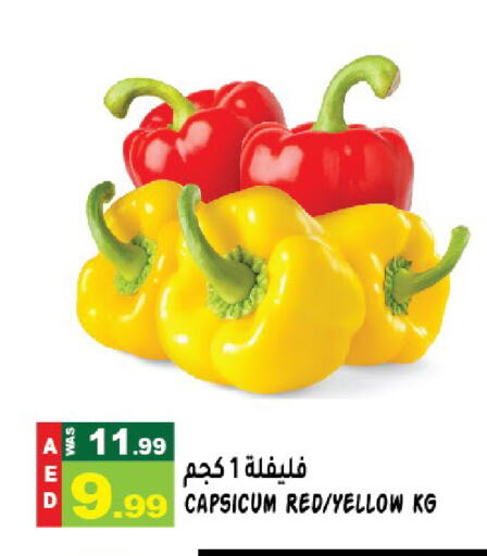 Chilli / Capsicum available at Hashim Hypermarket in UAE - Sharjah / Ajman