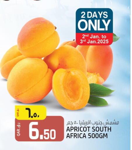 Apricot available at السعودية in قطر - الخور