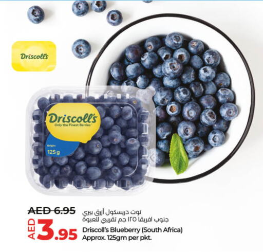 Berries from South Africa available at Lulu Hypermarket in UAE - Fujairah