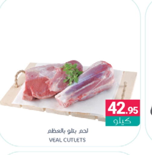 Veal available at Muntazah Markets in KSA, Saudi Arabia, Saudi - Qatif