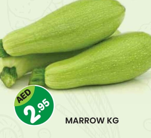 Marrow available at Baniyas Spike  in UAE - Umm al Quwain