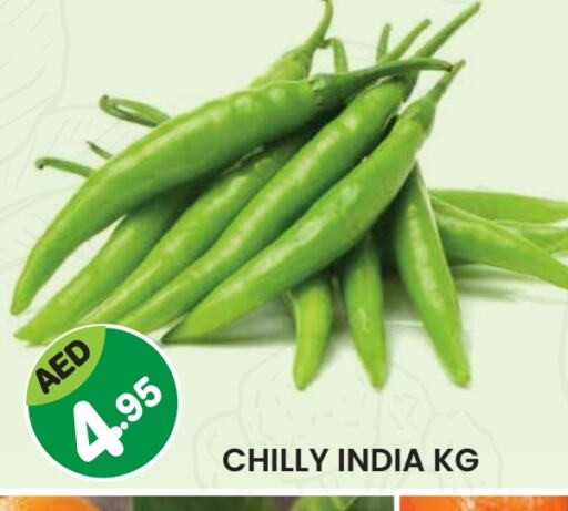 from India available at سنابل بني ياس in الإمارات العربية المتحدة , الامارات - أم القيوين‎